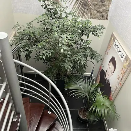 Maison De 250 M2 Avec à Villa Arcachon