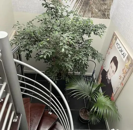 Maison De 250 M2 Avec A ヴィラ アルカション